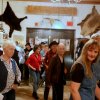 10_10_26 (26)
